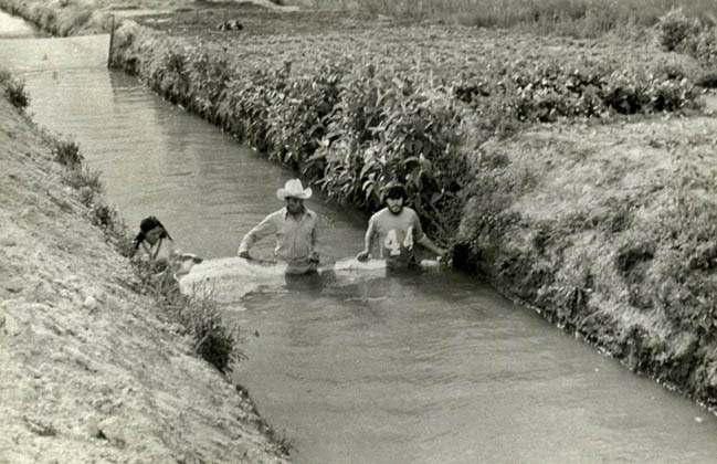 Chinampas agricultural system
